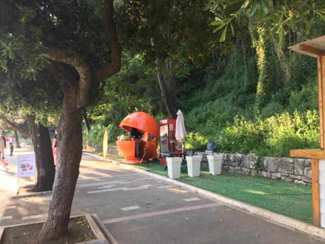 Apartment Simo Herceg Novi Dış mekan fotoğraf