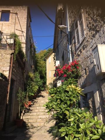Apartment Simo Herceg Novi Dış mekan fotoğraf