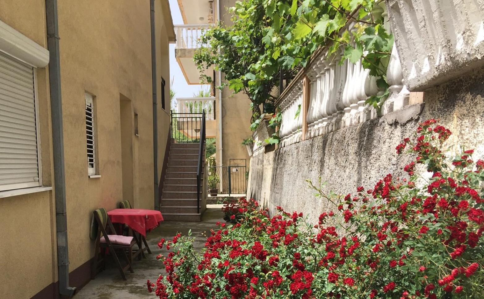 Apartment Simo Herceg Novi Dış mekan fotoğraf